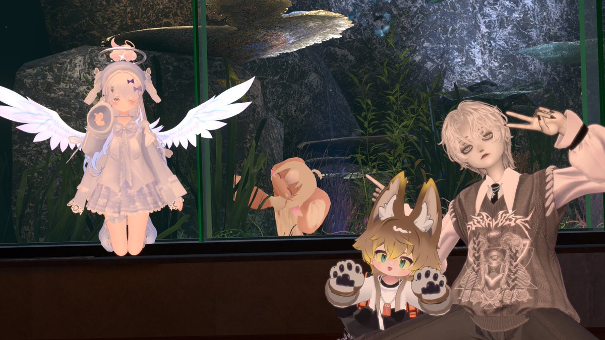 あかり tweet media