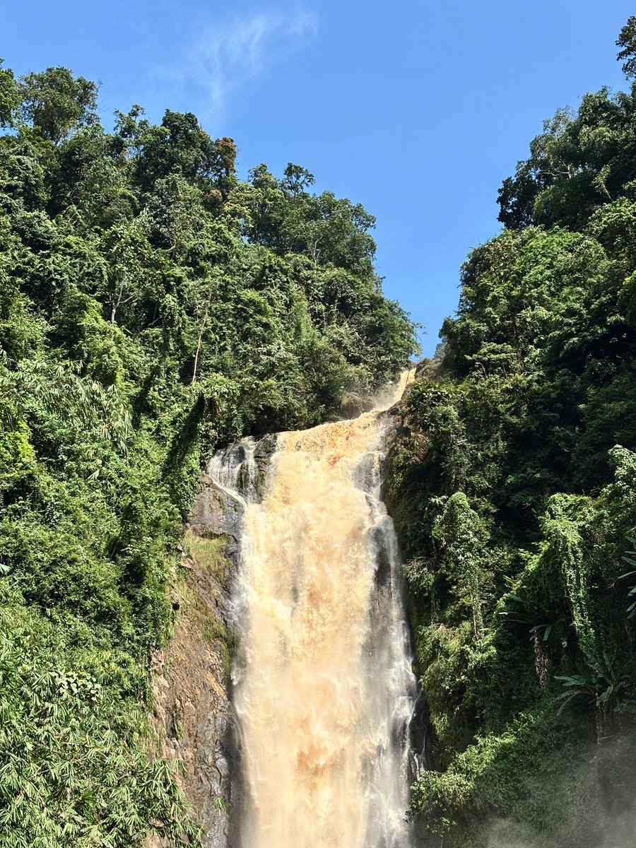 braxidin tweet media