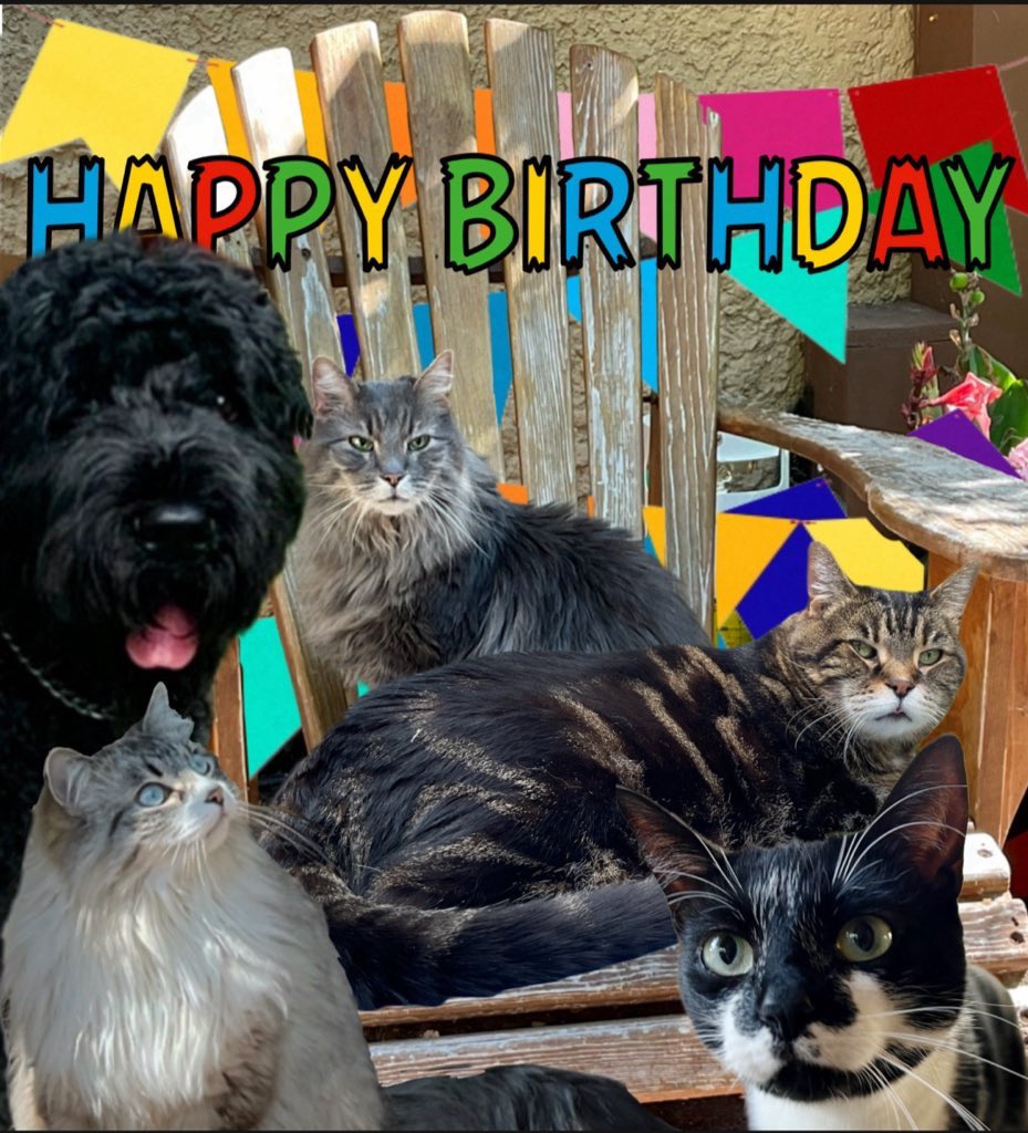 Life on the Prairies with Blue🌻🌻🌻 tweet media