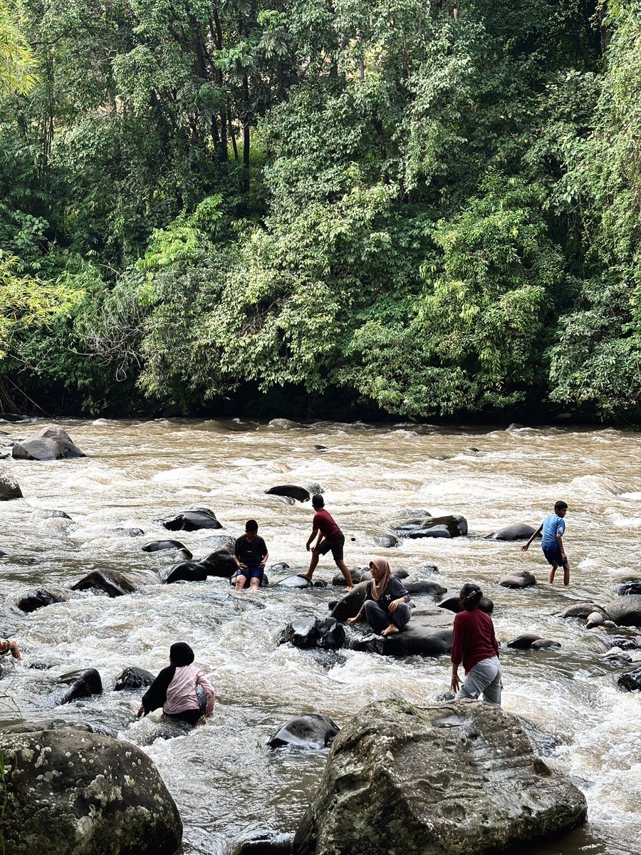 braxidin tweet media