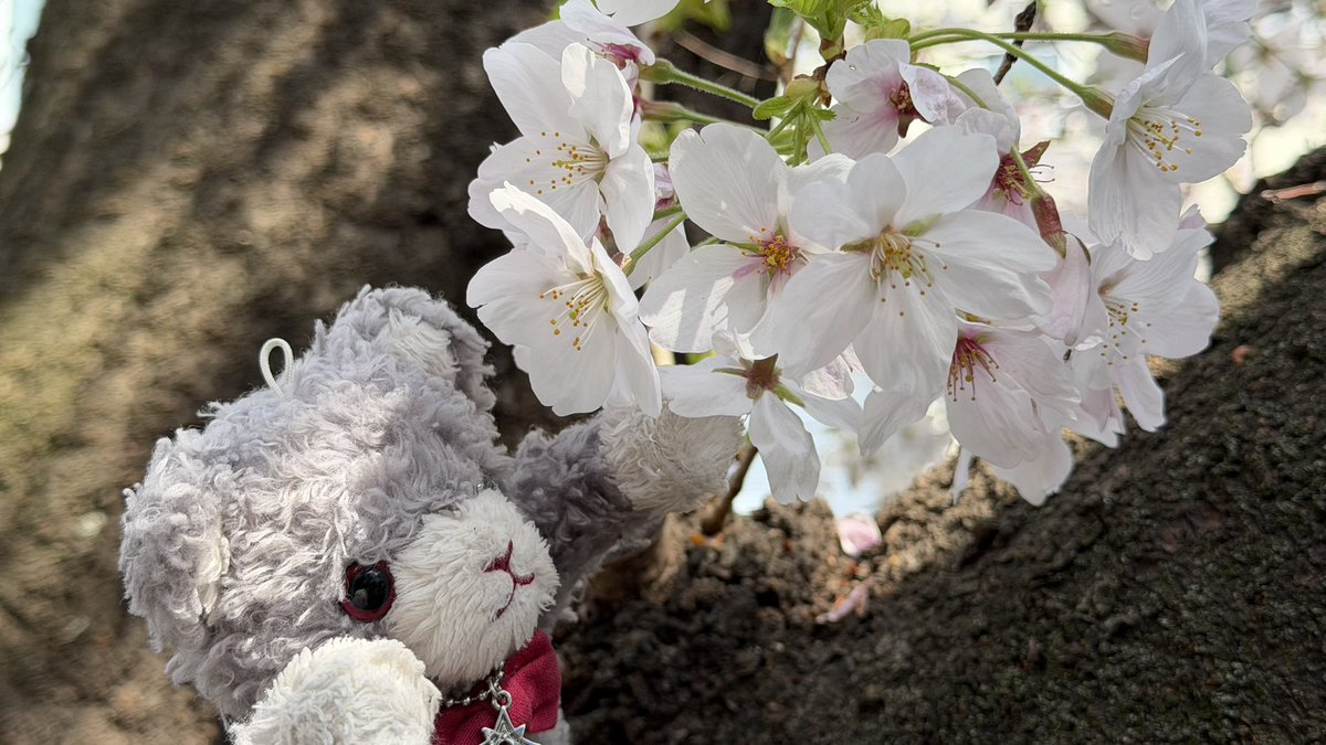 🍖莉沙 🌹🌕 / 💎13.14.20 tweet media