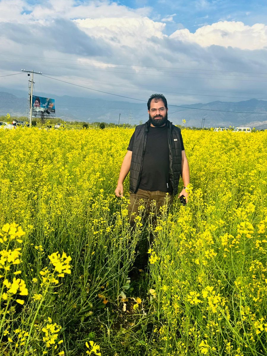 dr_firdousbaba's tweet photo. Golden mustard blooms in Pampore 🌼
From saffron in autumn to sarson in spring, Kashmir never runs out of magic—just changes its colors. 💛 Pampore is famously known as the “Saffron Town of Kashmir” because of its world-renowned Kashmiri saffron cultivation in autumn.
In contrast, during spring, mustard flowers dominate the fields, creating this stunning yellow scenery.
Located near Srinagar, Pampore offers a mix of seasonal beauty—purple saffron in autumn and golden mustard in spring…#kashmir #pampore #mustardfeild #kss #viralvídeo