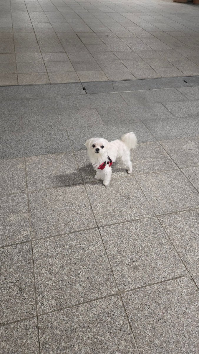 ㅎiㄹㄹiㅇ tweet media