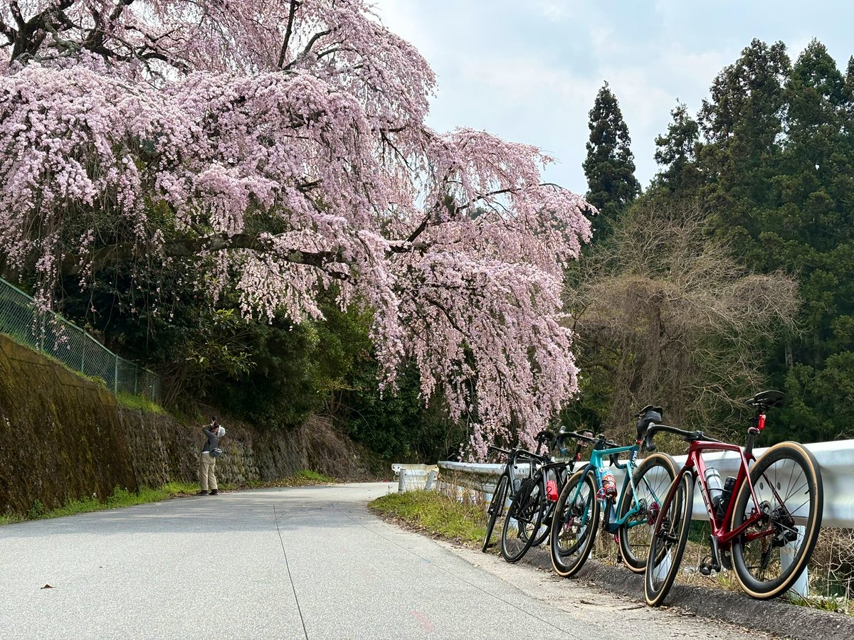 もりや農園 tweet media
