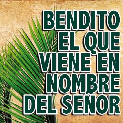 RuizHurtadoRE's tweet photo. ¡FELIZ DOMINGO DE RAMOS!
HOY COMIENZA NUESTRO #CAMINOJUNTO AL SEÑOR EN ESTA SEMANA SANTA... "#Sigamos al Divino Maestro a lo largo de la cuesta del calvario cargando con nuestra cruz, y, cuando él crea conveniente clavarnos en la cruz, #DémosleGracias, y considerémonos afortu... https://t.co/dP1LJXRpDw