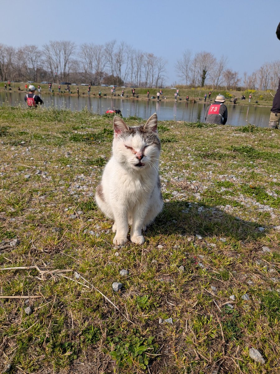 一木美名子 tweet media