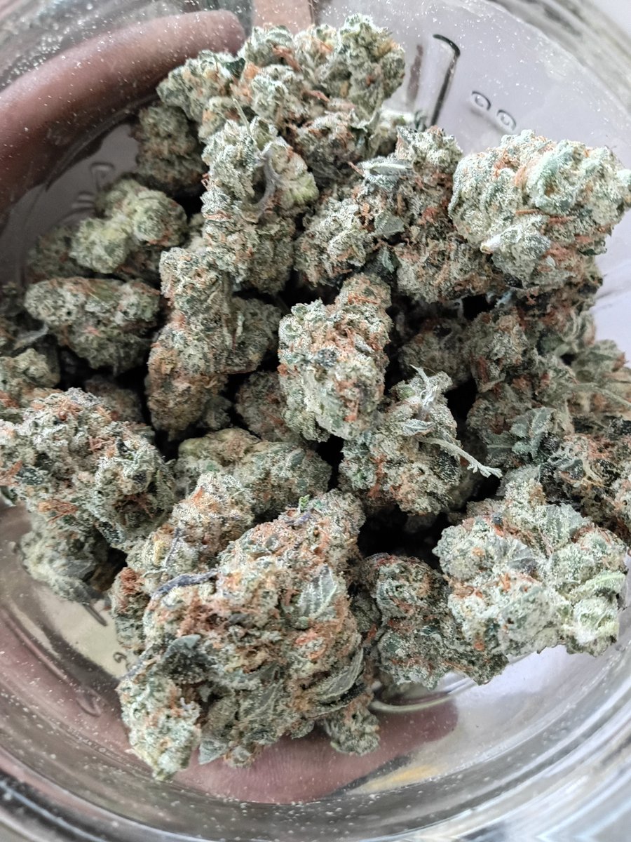 NoTill Roots tweet media