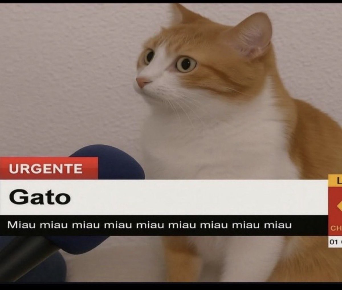 (boop).markcubantakingnotes tweet media