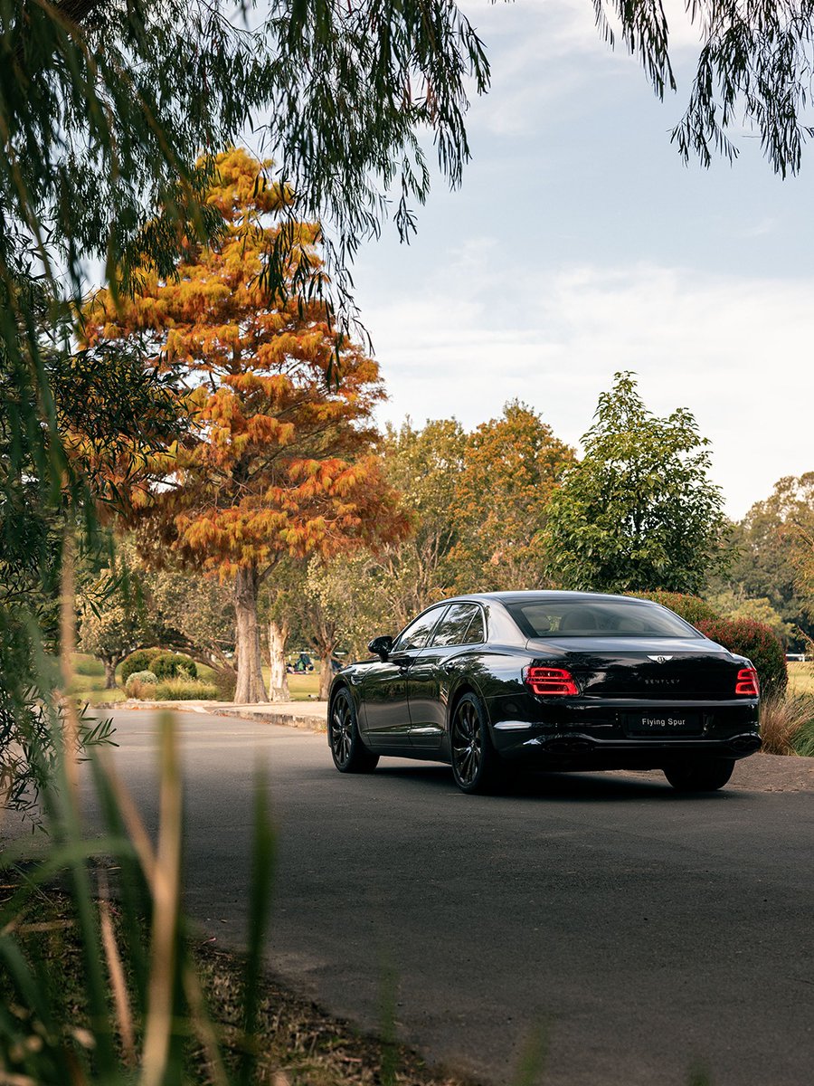 Bentley Saudi Arabia tweet media