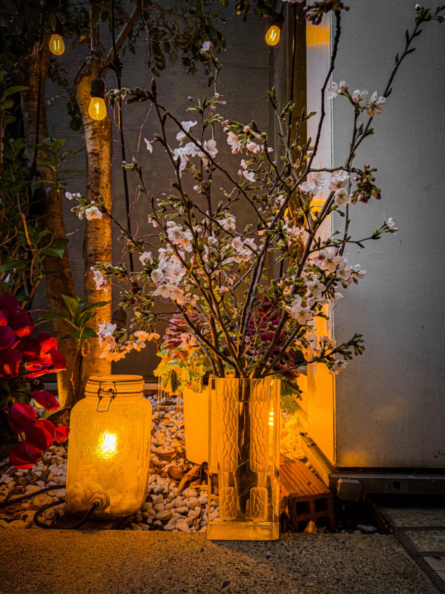 𝙈𝙖𝙮𝙤 tweet media