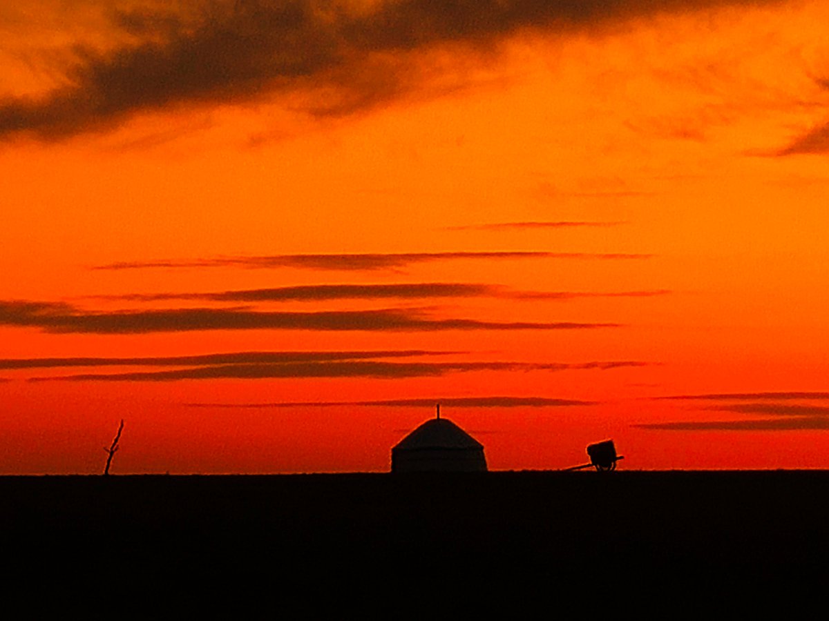 Mary Ann Hawley tweet media