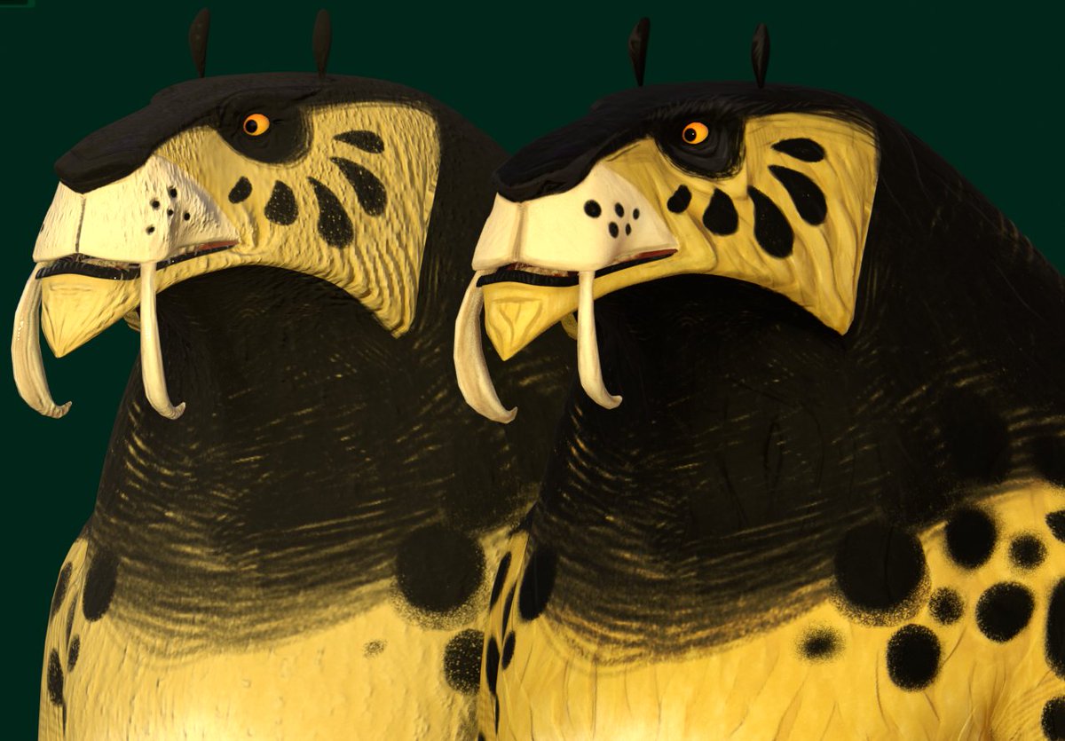 Gerald J. G. tweet media