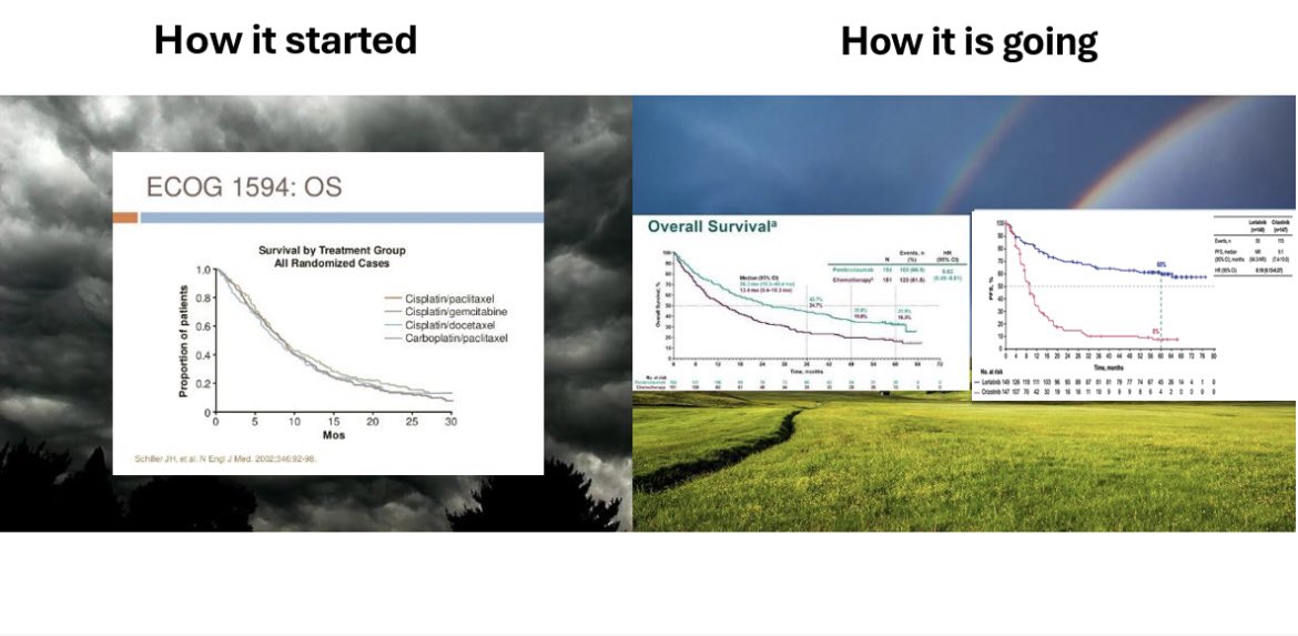 Balazs Halmos tweet media