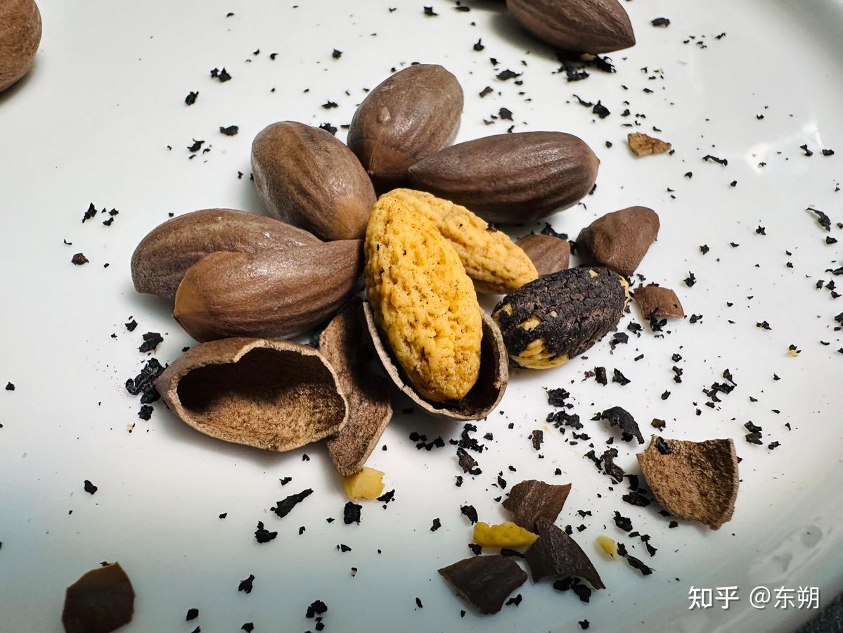 didin-anti system tweet media