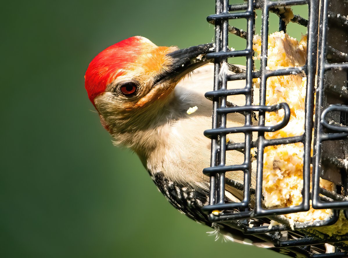 The Only James Magelk tweet media