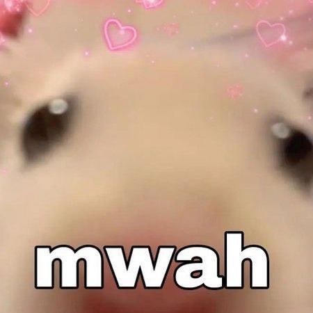 cipi cewe junot tweet media