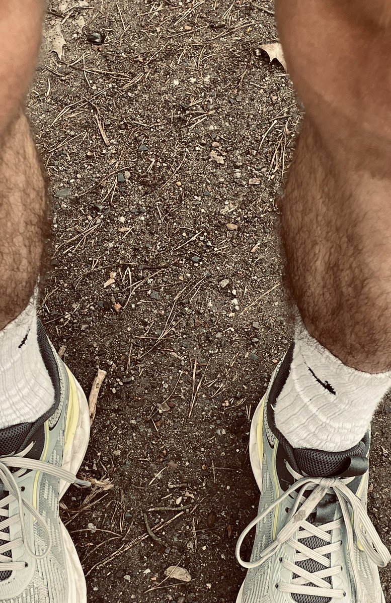 Sam Brun tweet media