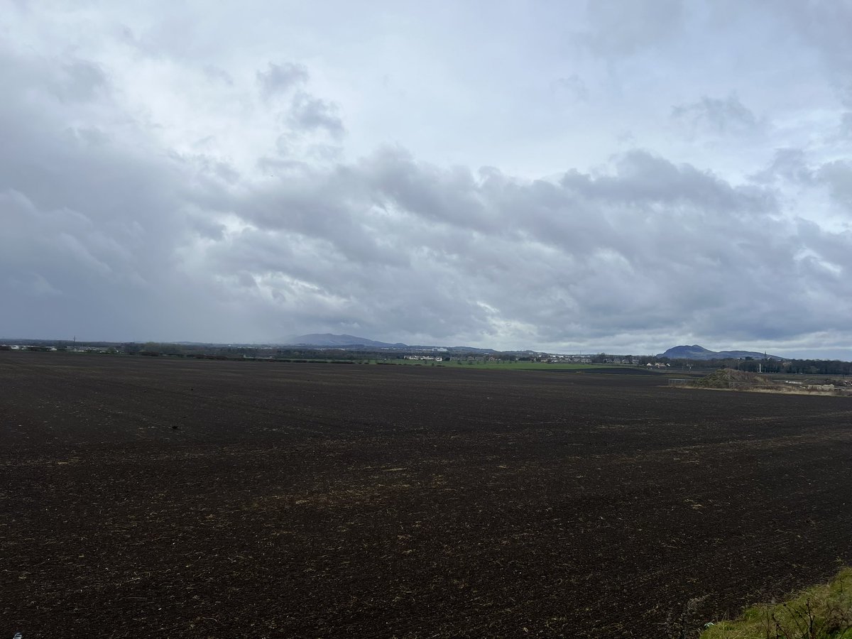 Tim Bonner tweet media