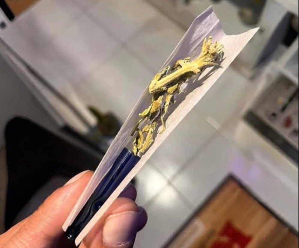 stonersvilla's tweet photo. Tuesday https://t.co/UHfdIYHFYe