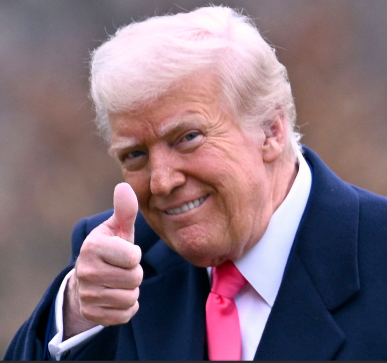 Conservative Brief tweet media