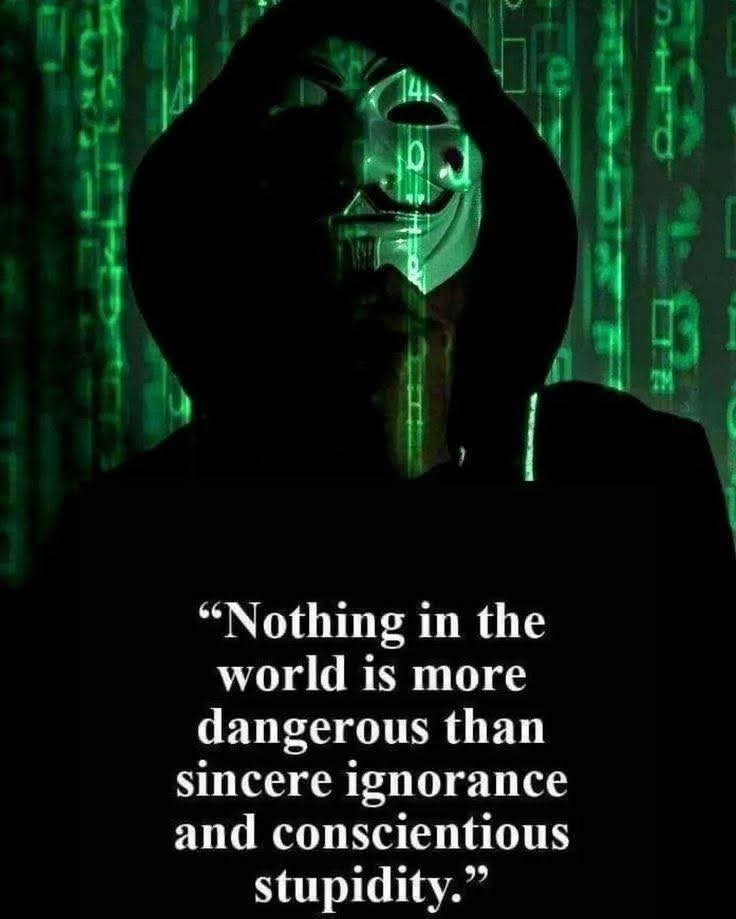 Tom McConnell tweet media