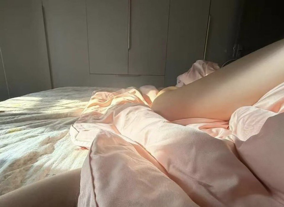 绿精灵 tweet media