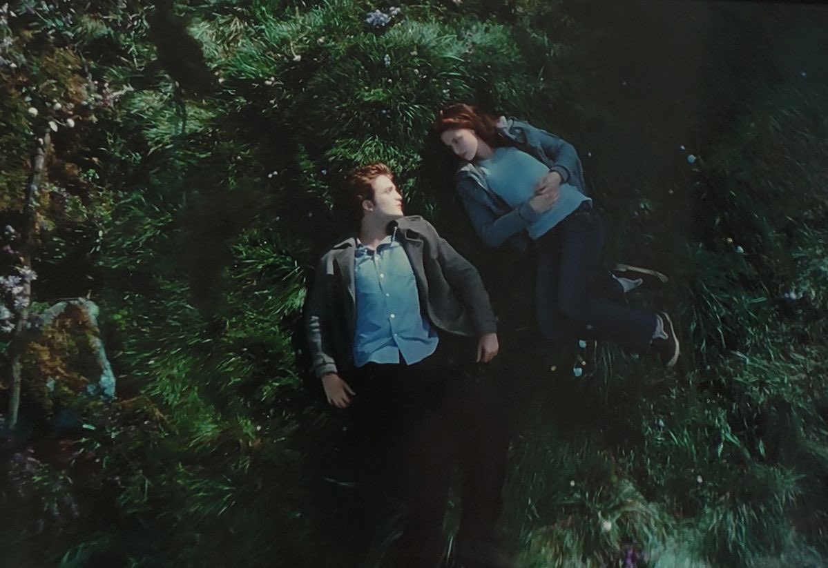 Bruna Cullen (Taylor's Version) tweet media