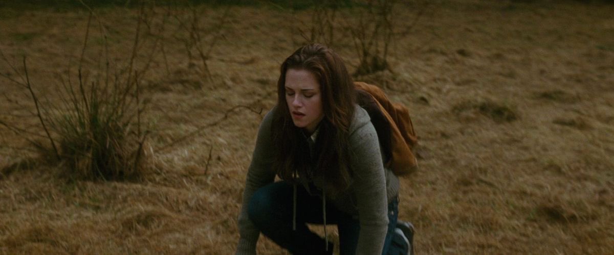 Bruna Cullen (Taylor's Version) tweet media