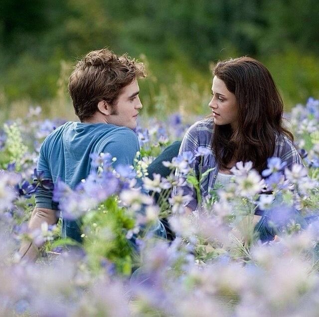 Bruna Cullen (Taylor's Version) tweet media