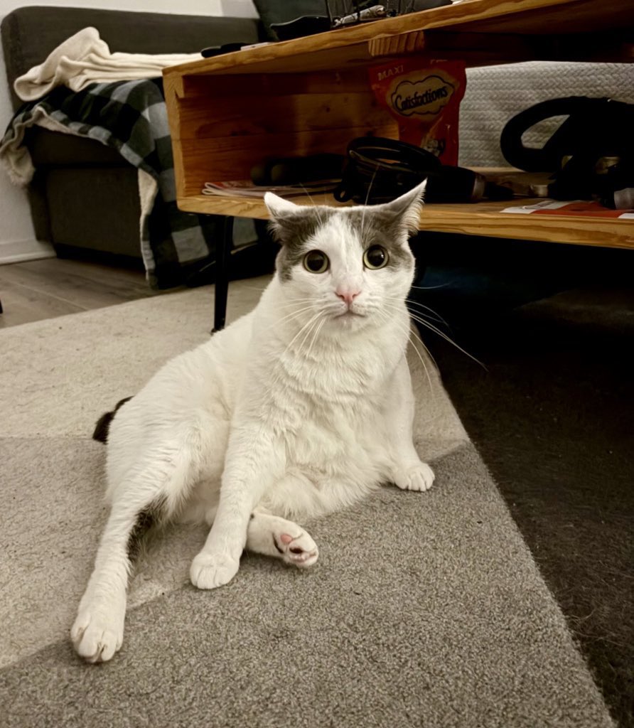 Snoop Fan Account 🍂 tweet media