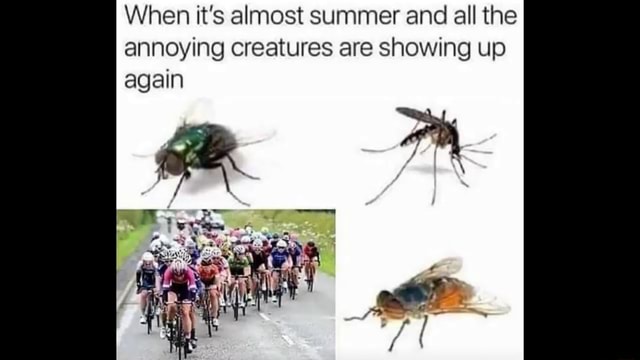 PromesMetMes tweet media