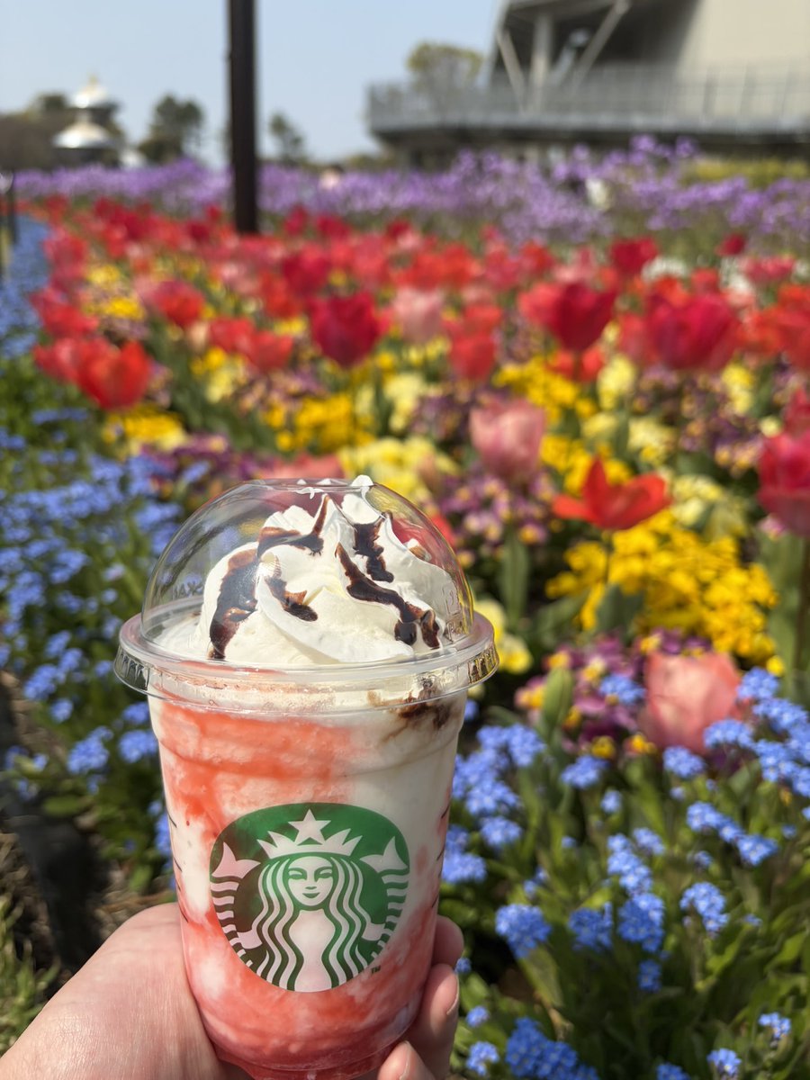 a___Disney_'s tweet photo. 素敵なお花見日和でした🌸 https://t.co/oq7ZSUymzI