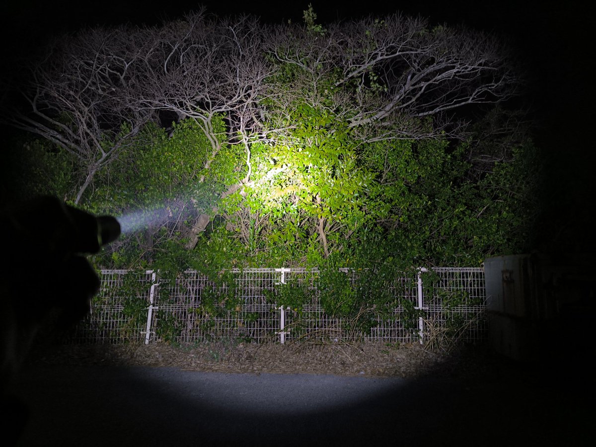 がっきー tweet media