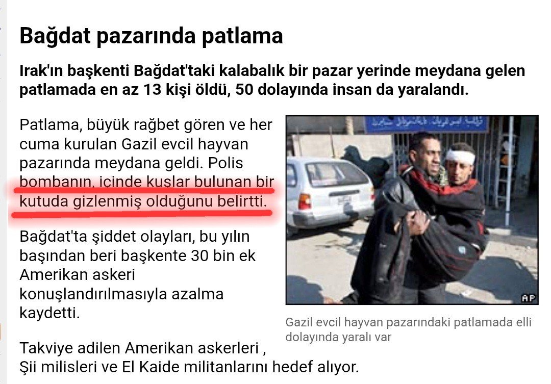 Seda Ünlem tweet media