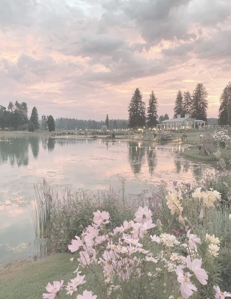 dsssrsss tweet media