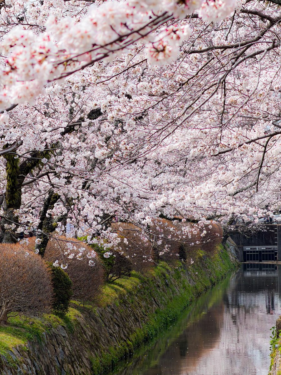 🇨🇴Gianni right?🇨🇴 tweet media