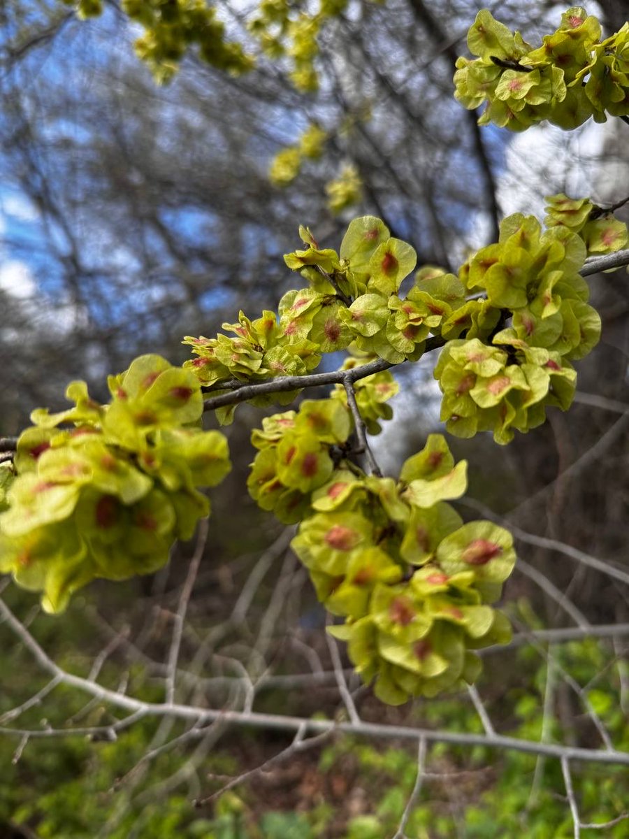 İ.𝐯𝐚 tweet media