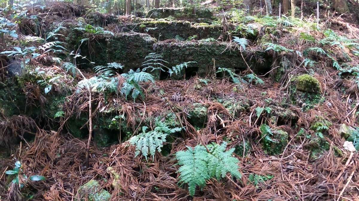 アマノ氏のチャンネル tweet media