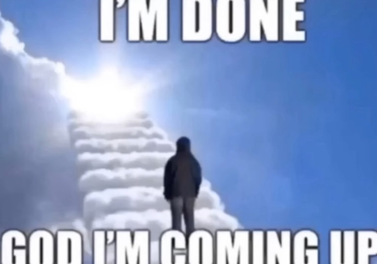 Squinnel tweet media