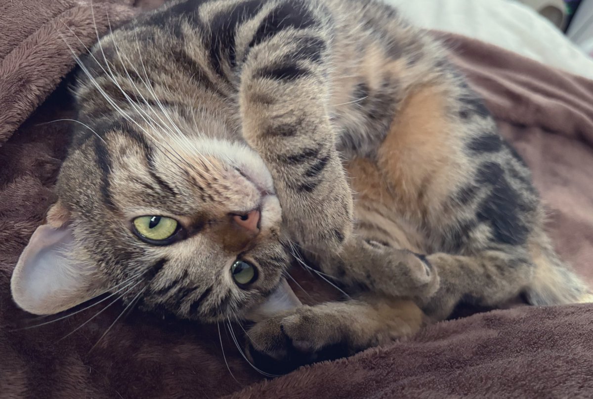 るか🌟 tweet media