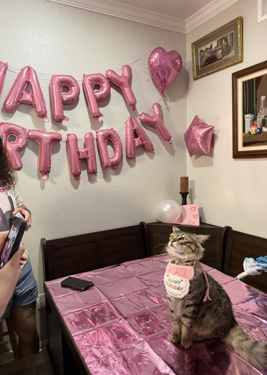 癒しの動物 tweet media