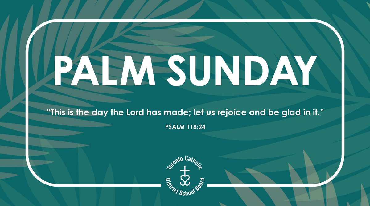 Toronto Catholic District School Board tweet media