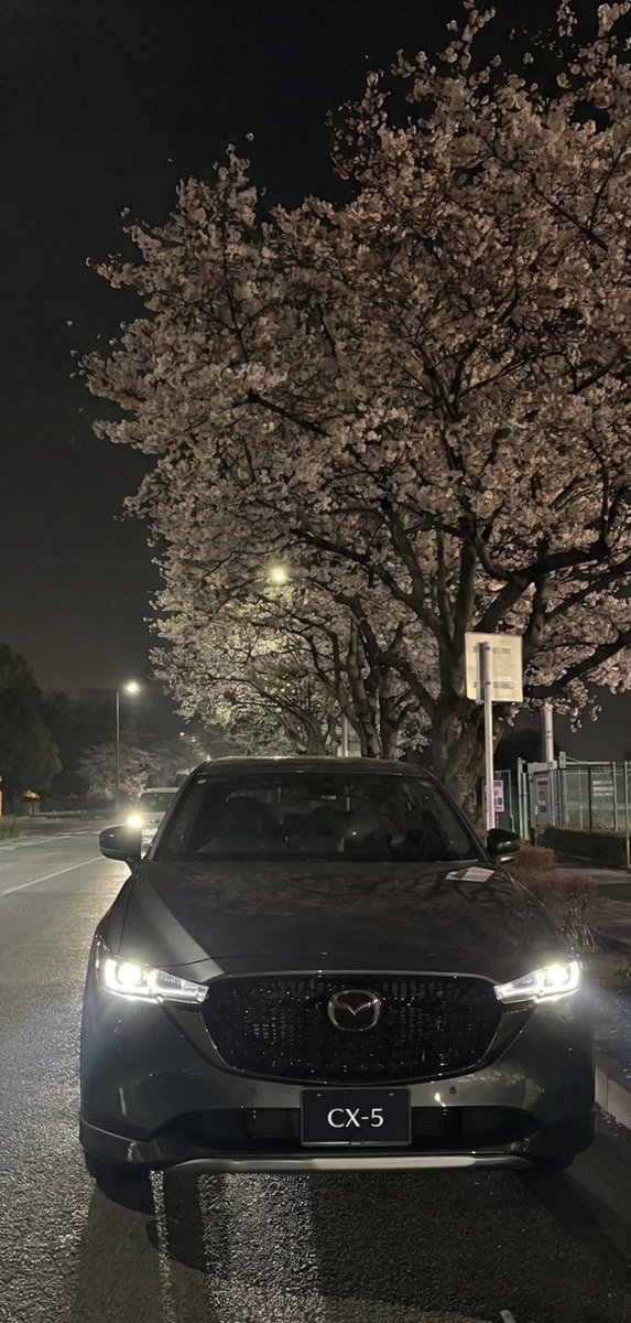 SSK/MAZDA3→CX-5 tweet media