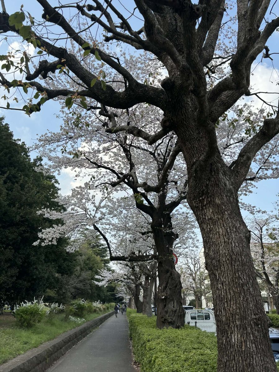 ニット tweet media