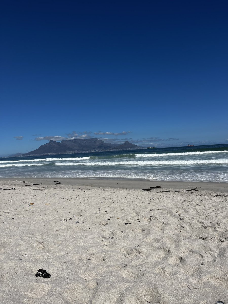 Stefano Da Silva F. C. tweet media