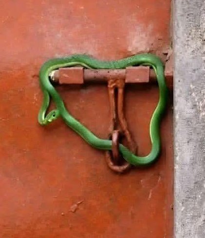 Malaki Anteedote tweet media