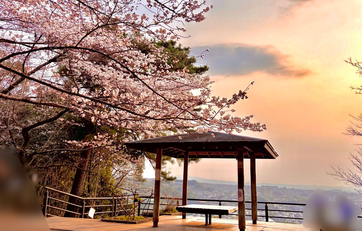 こここ tweet media