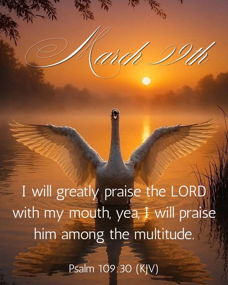 Stephen Gerard tweet media