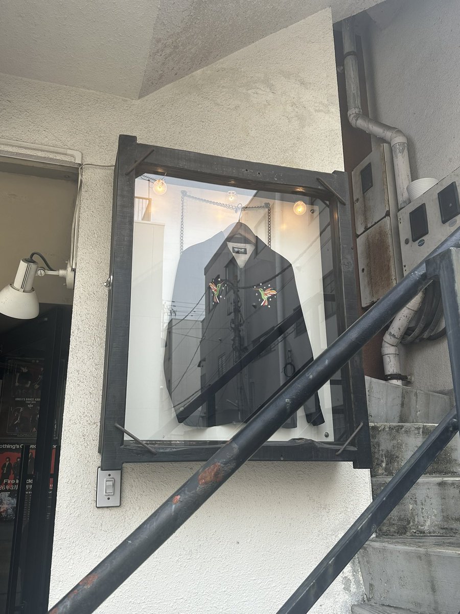 anemone69 tweet media