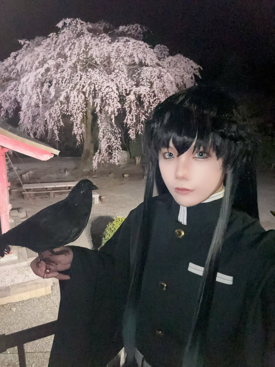 姫乃ミーナ tweet media